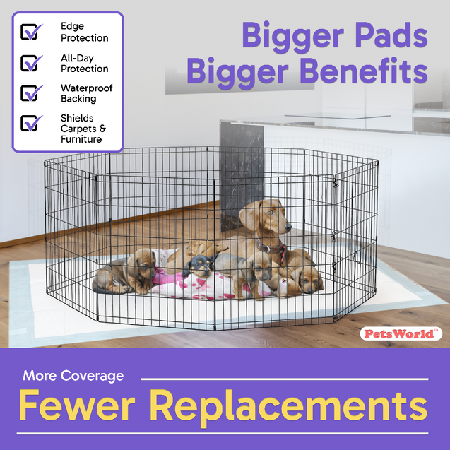Wholesale Mega (43x74 inch) Dog Training & Potty Pads_