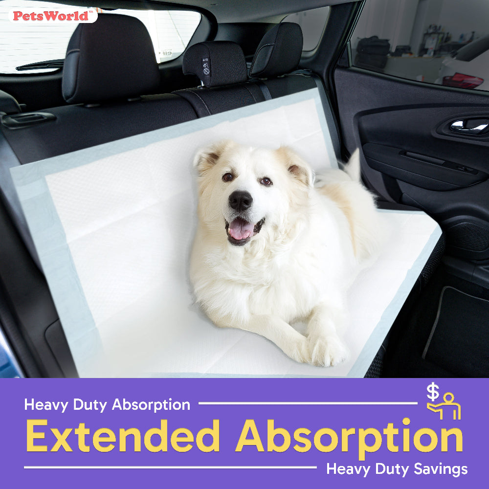 PetsWorld 5XL (43x74 inch) Dog Training & Potty Pads