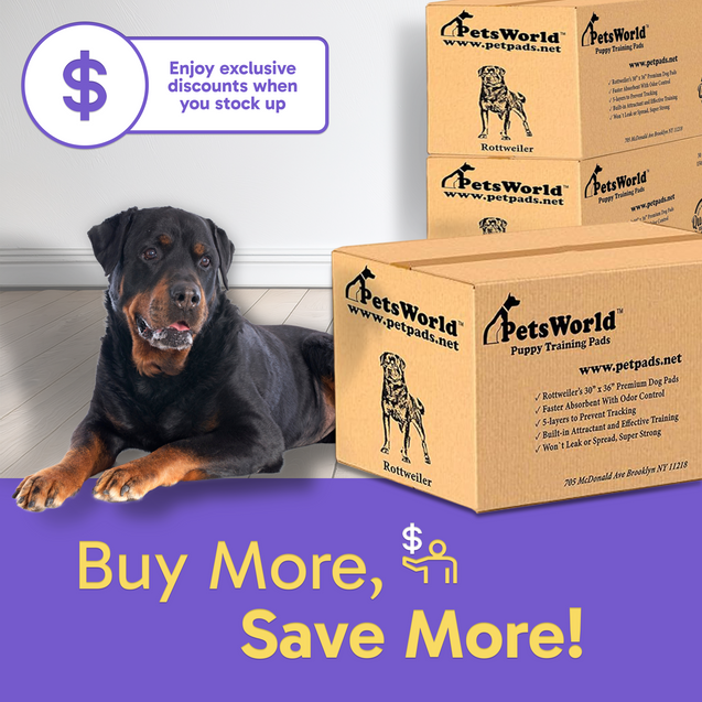 PetsWorld Extra Large (30x36 inch) Dog Training & Potty Pads_