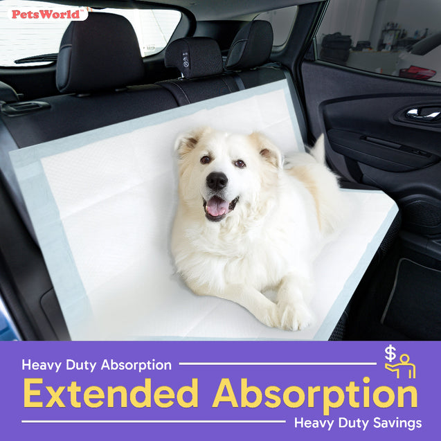 Wholesale Mega (43x74 inch) Dog Training & Potty Pads_