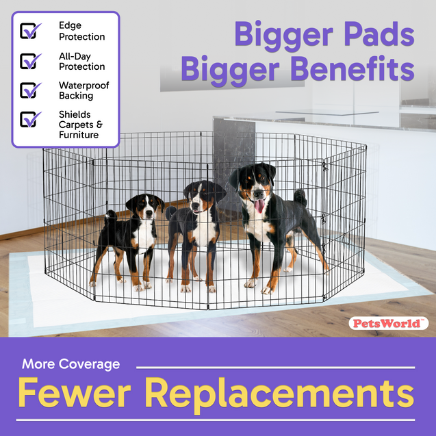PetsWorld 4XL (40x99 inch) Dog Training & Potty Pads_