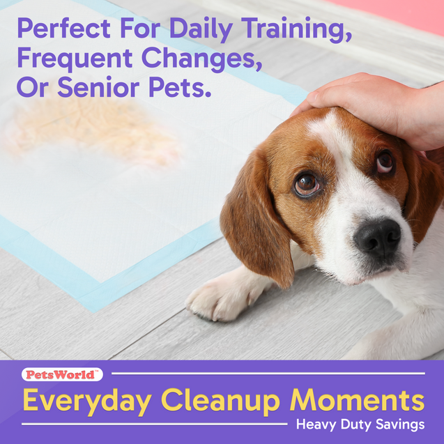 PetsWorld Economy Value (23x36 inch) Puppy Training & Potty Pads_