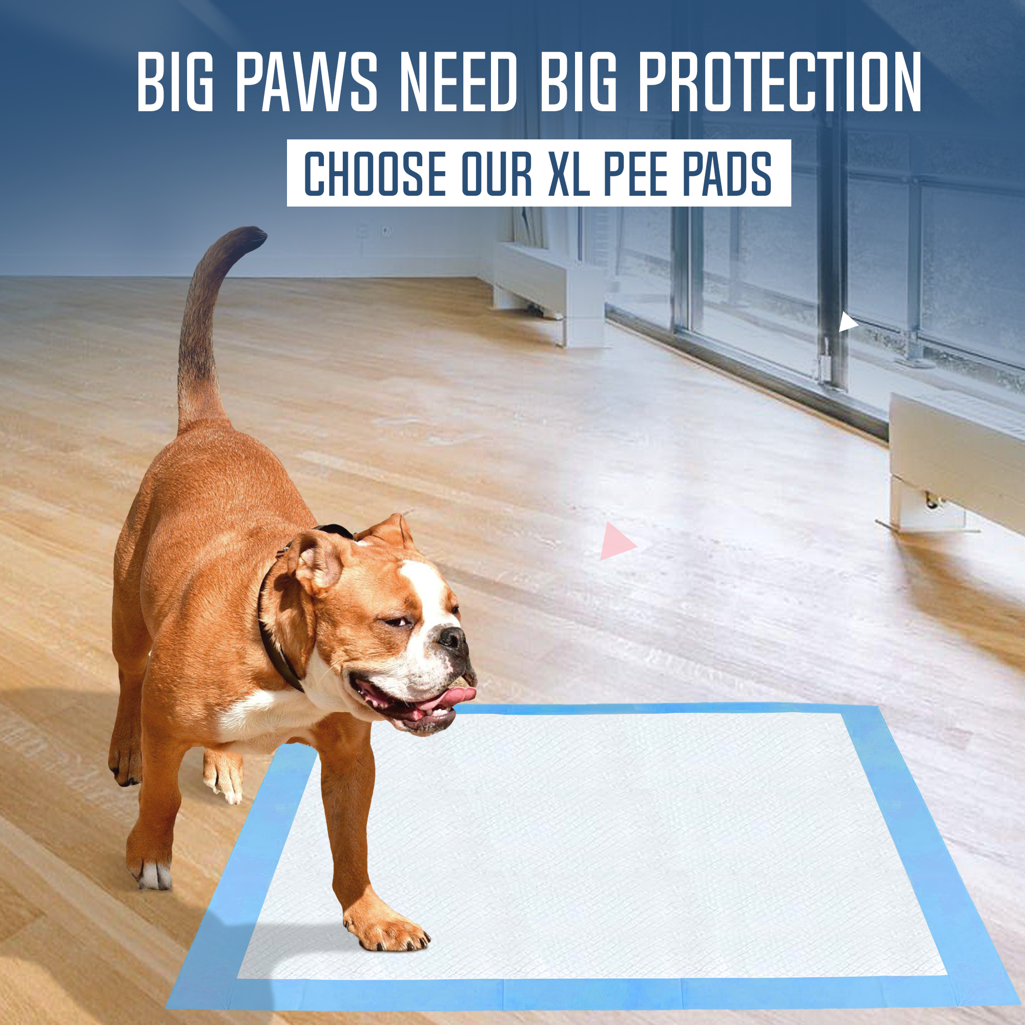 PetsWorld Gigantic (36x36 inch) Dog Training & Potty Pads_