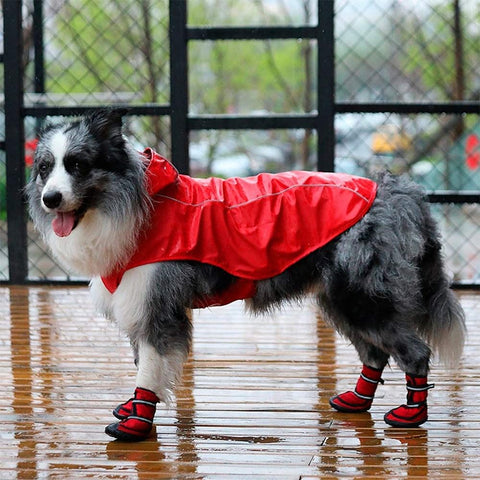 Lightweight Breathable Hooded Rain Coat with Reflective Strips, Adjustable Strap, and Leash Hole for Medium and Large Dogs_