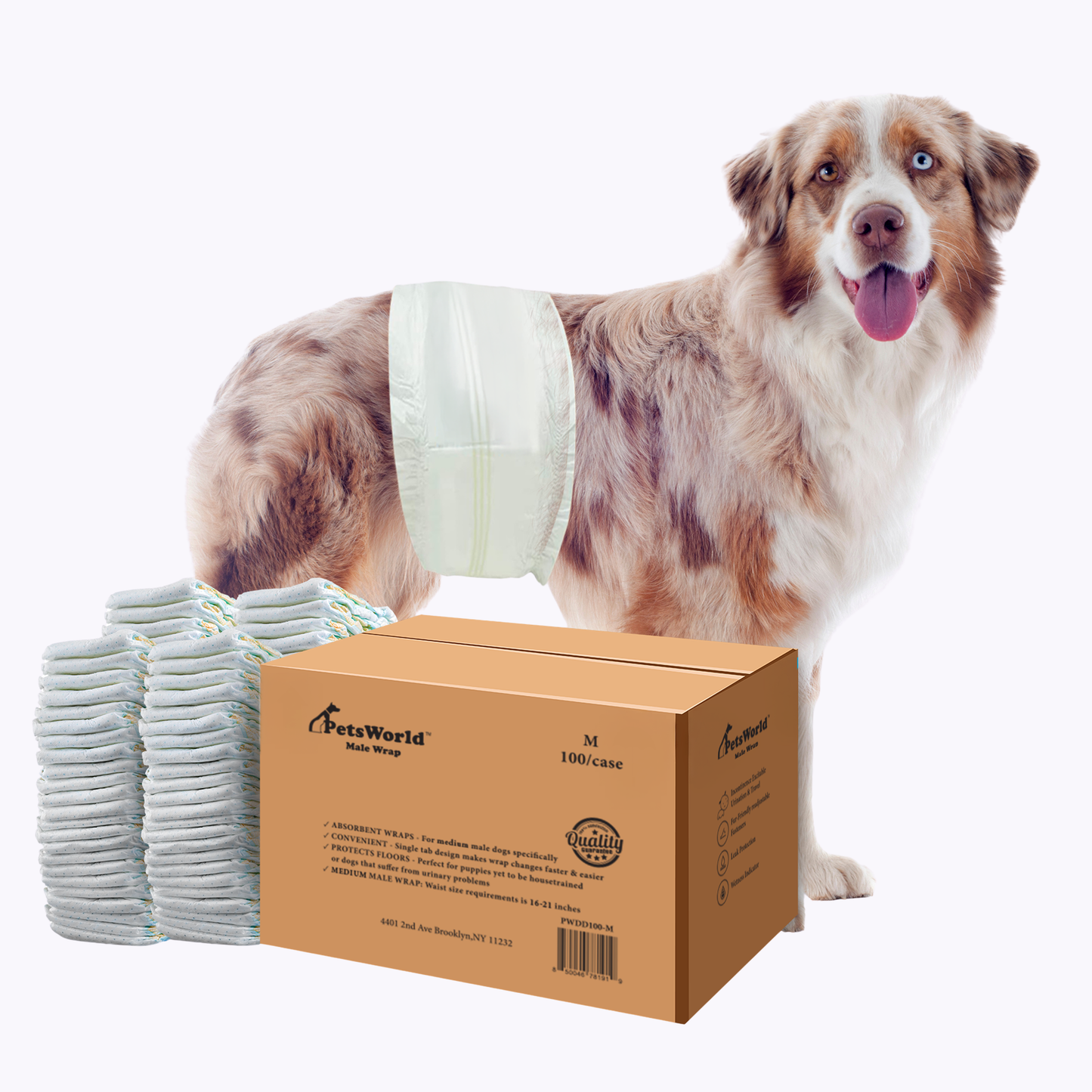 PetsWorld Dog Diapers Male - Super Absorbent, Fur-Friendly Belly Bands_100 Count / Medium