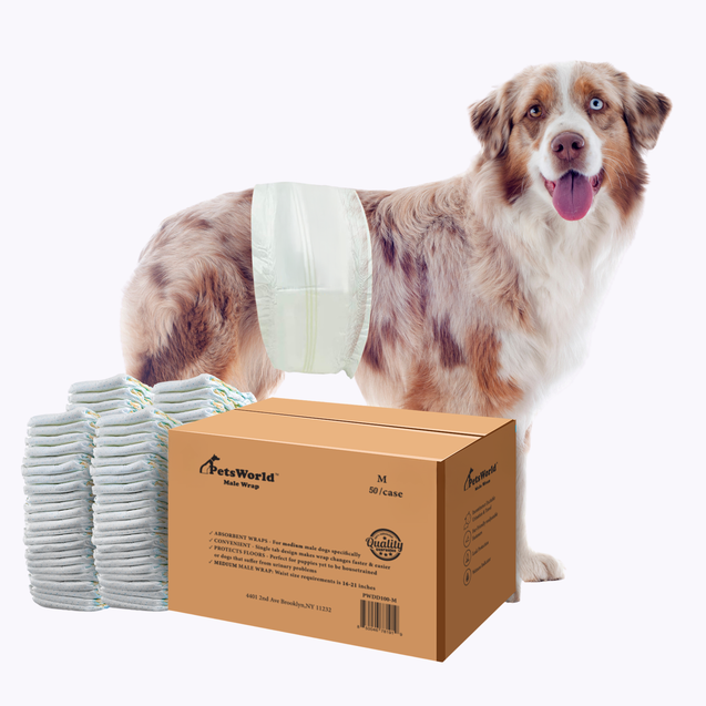 PetsWorld Dog Diapers Male - Super Absorbent, Fur-Friendly Belly Bands_50 Count / Medium