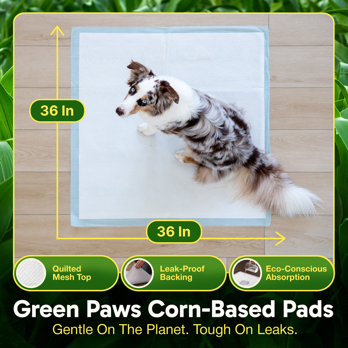 GreenPaws™ Gigantic (36x36 inch) Premium Corn-Based Eco Conscious Dog Pads_