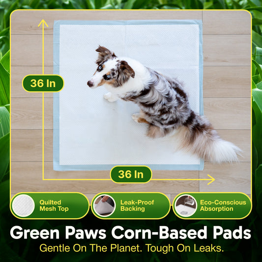 GreenPaws™ Gigantic (36x36 inch) Premium Corn-Based Eco Conscious Dog Pads_