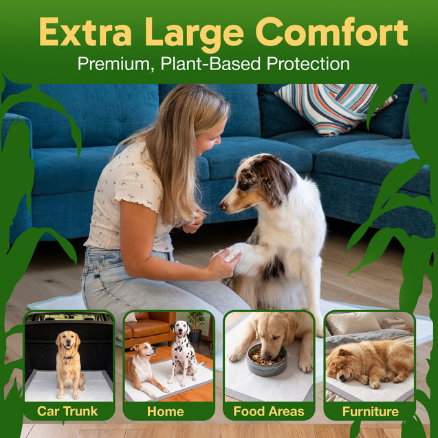 GreenPaws™ Gigantic (36x36 inch) Premium Corn-Based Eco Conscious Dog Pads_