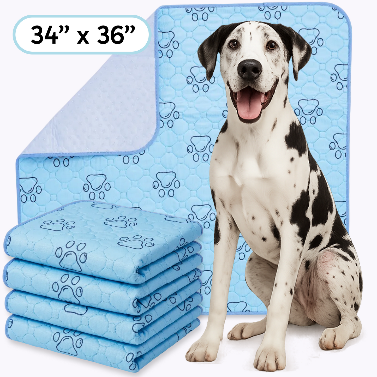 PetsWorld Washable Dog Potty Pads, Unscented_16 Count / 34 x 36-in