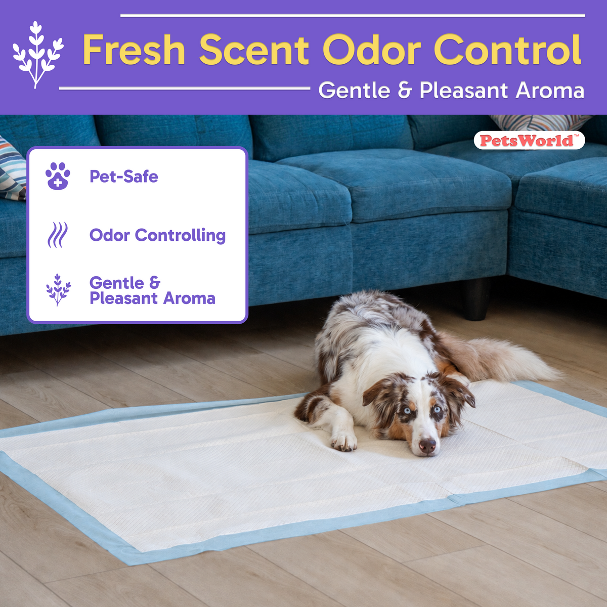 3XL (37x54 inch) Dog Training & Potty Pads_Fresh Scent