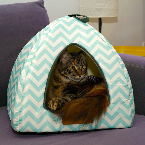 Tent Covered Cat & Dog Bed, Aqua Blue, Medium-16 x 16 x 14 inches_