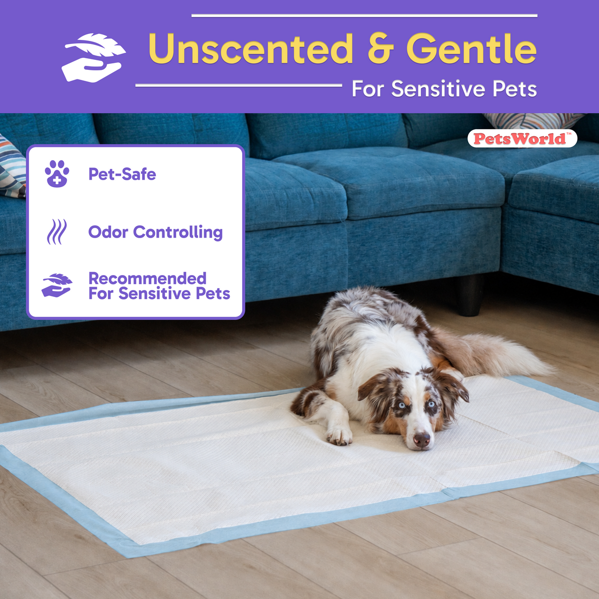 3XL (37x54 inch) Dog Training & Potty Pads_Unscented