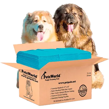 PetsWorld 3XL (37x54 inch) Dog Training & Potty Pads