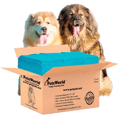 PetsWorld 3XL (37x54 inch) Dog Training & Potty Pads