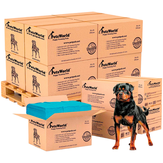 Wholesale Extra Large Dog Training & Potty Pads (30x36 inch)