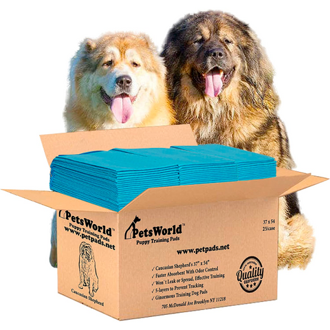 Leak proof dog sales pads