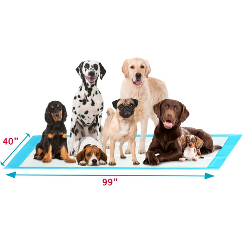 PetsWorld (40 x 99 inch) Dog Pee Pads 4XL Gigantic Pet Piddle Pads for Puppy Training, Incontinence – with Adhesive Sticky Tape – Leak Proof, 5-Layer Protection_