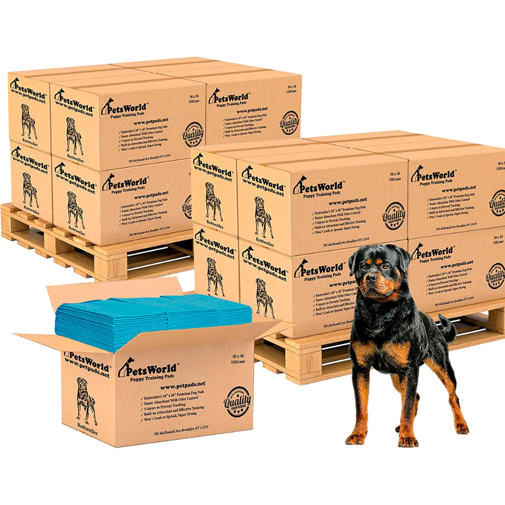 Wholesale Extra Large Dog Training & Potty Pads (30x36 inch)_2400 Count