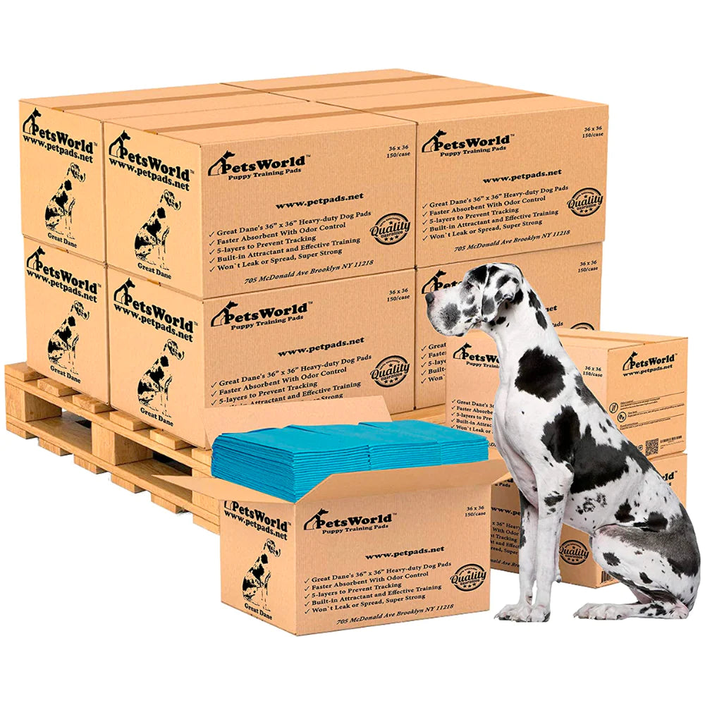 Wholesale Gigantic Dog Training & Potty Pads (36x36 inch)_1500 Count