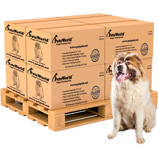 Wholesale 3XL (37x54 Inch) Dog Training & Potty Pads_800 Count