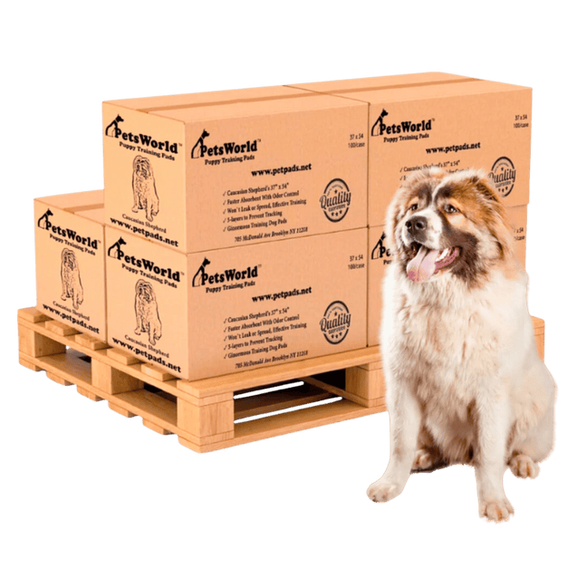 Wholesale 3XL (37x54 Inch) Dog Training & Potty Pads