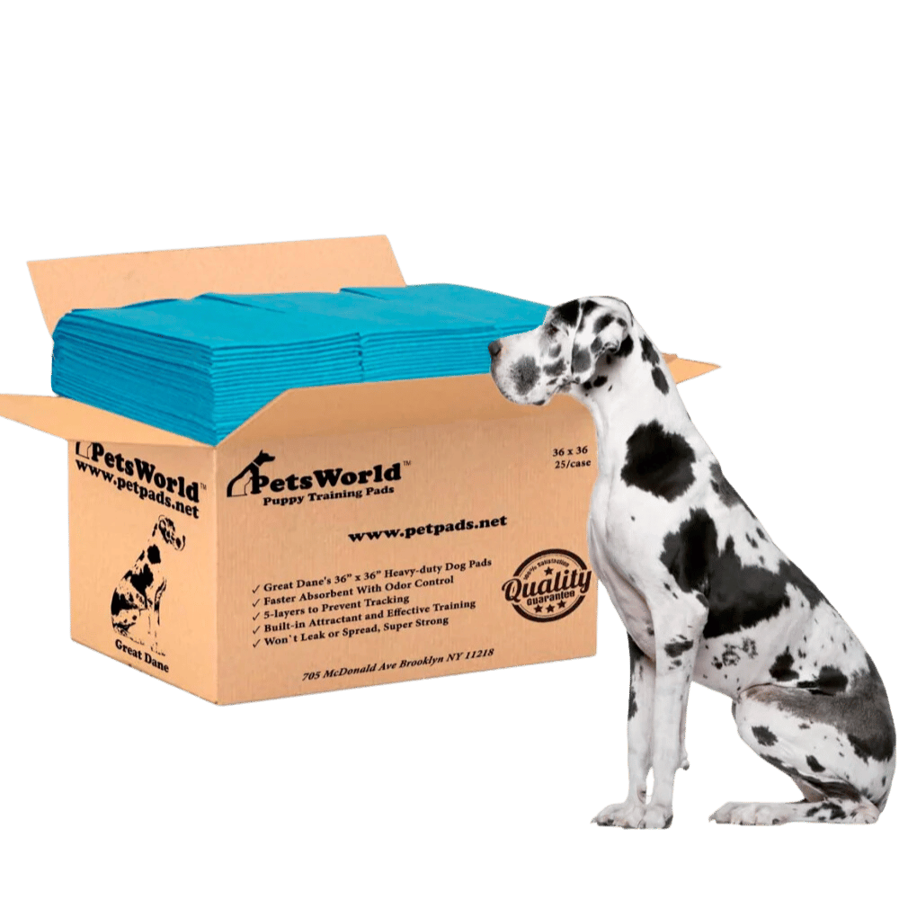 PetsWorld Gigantic (36x36 inch) Dog Training & Potty Pads