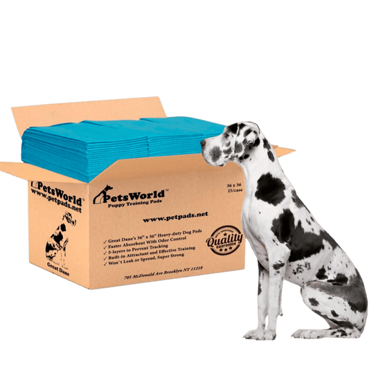 PetsWorld Gigantic (36x36 inch) Dog Training & Potty Pads