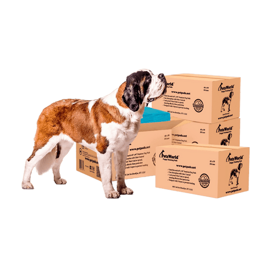 PetsWorld 4XL (40x99 inch) Dog Training & Potty Pads Pads