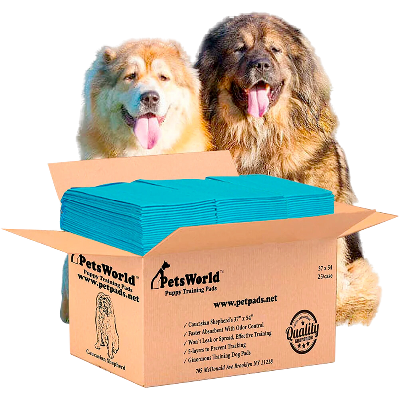 PetsWorld 37x54 Inch Pee Pads: 3XL Tear-Resistant & Leak-Proof