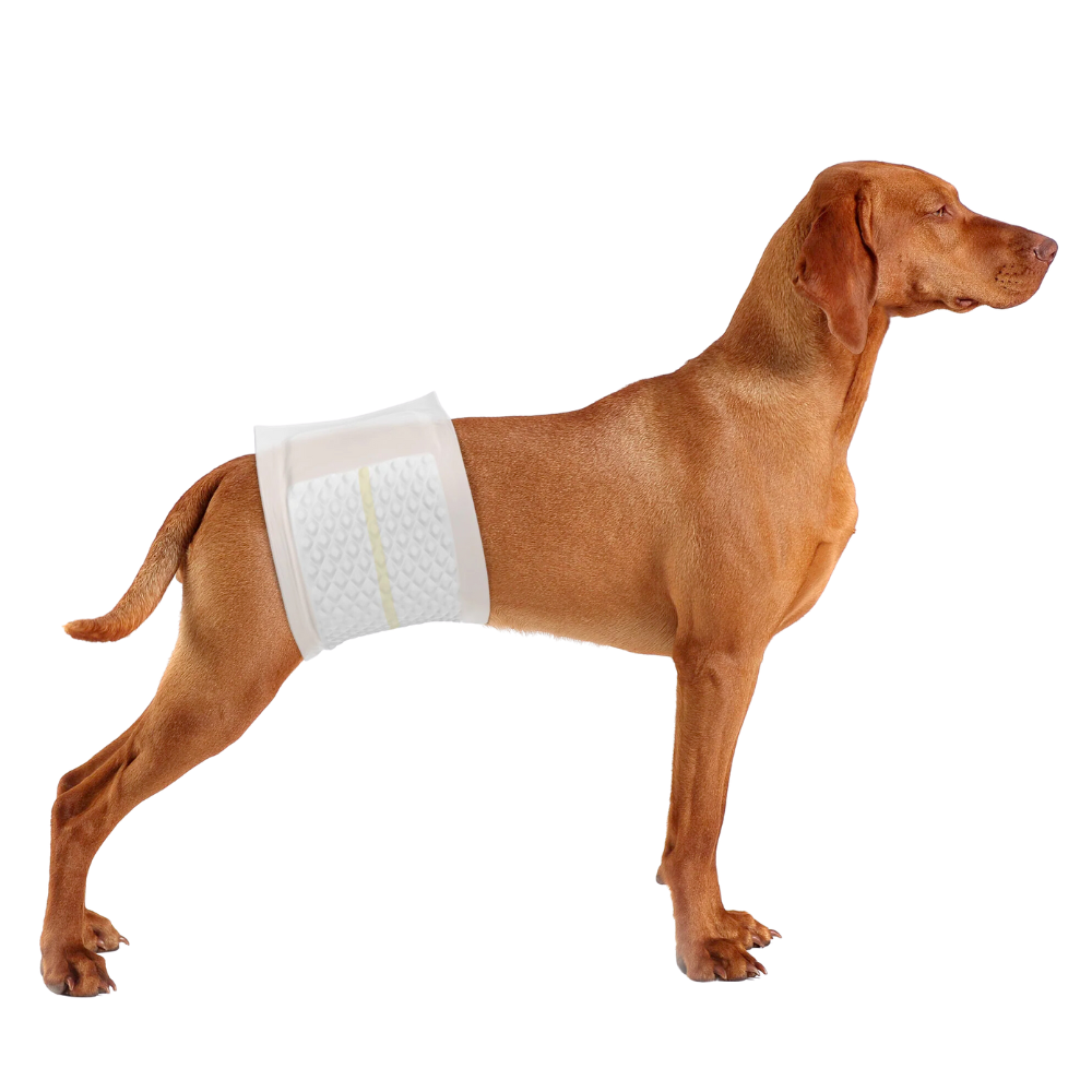 PetsWorld Disposable Dog Wraps for Male Dogs, Adjustable, Super Absorbent Diapers_