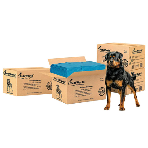 Wholesale Extra Large Dog Training & Potty Pads (30x36 inch)_600 Count