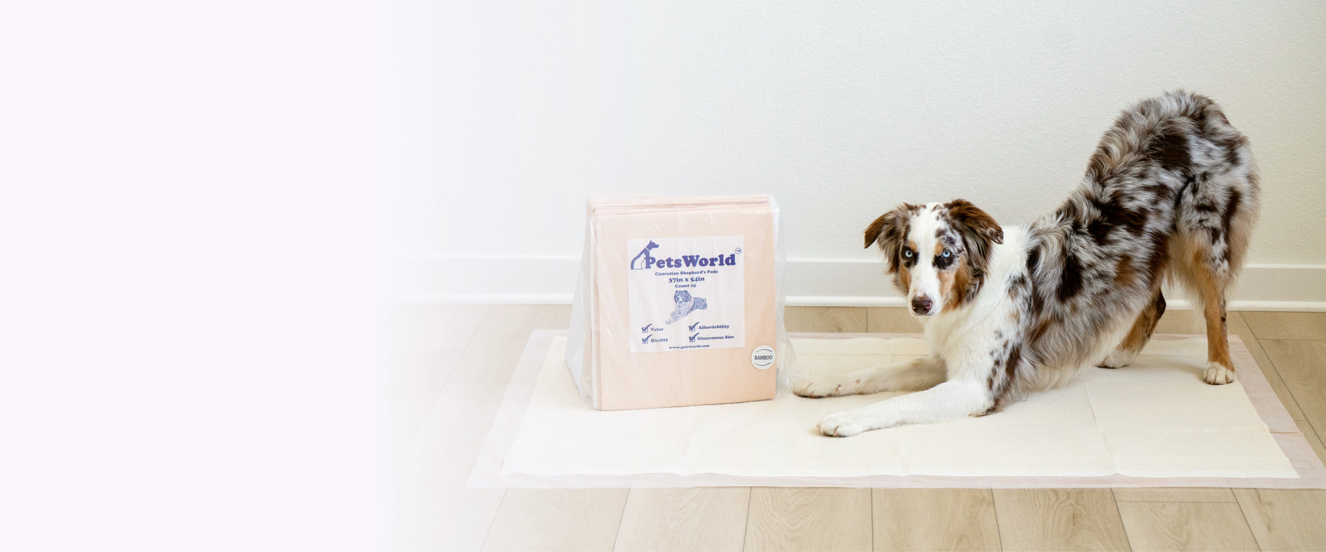 Bambeau eco-friendly dog pee pads with dog