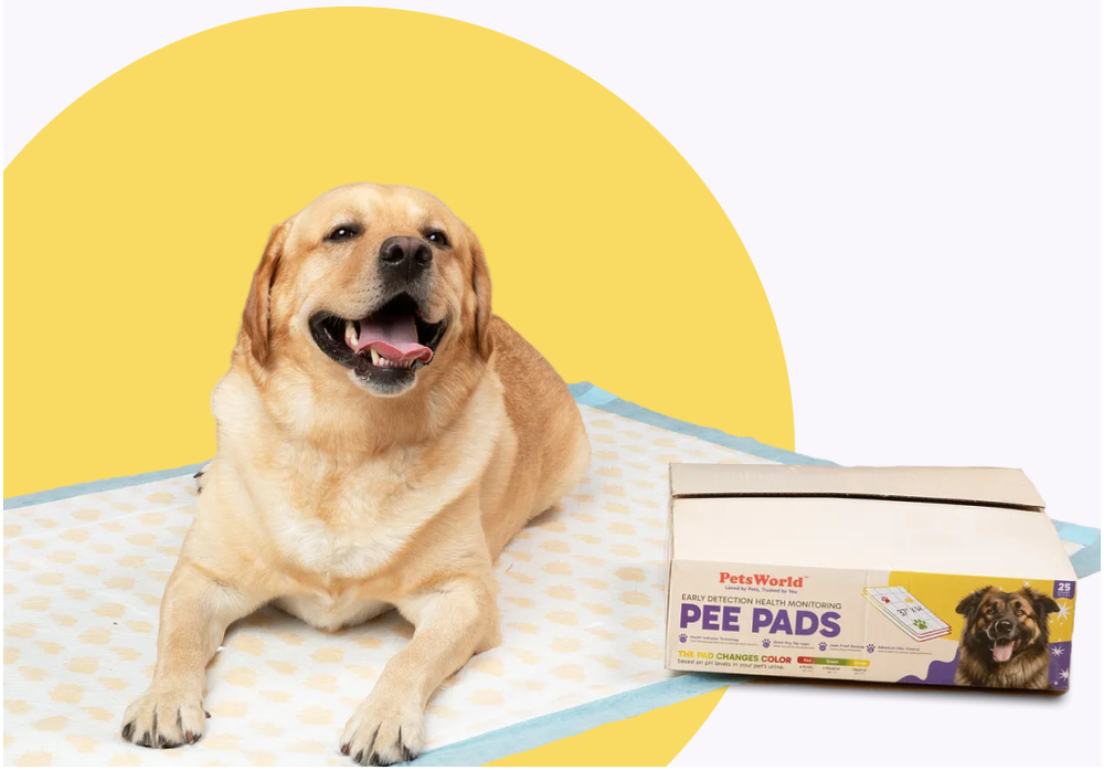 <p>Join <strong>PetsWorld+</strong> Today</p>