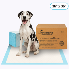 PetsWorld Gigantic (36x36 inch) Dog Training & Potty Pads