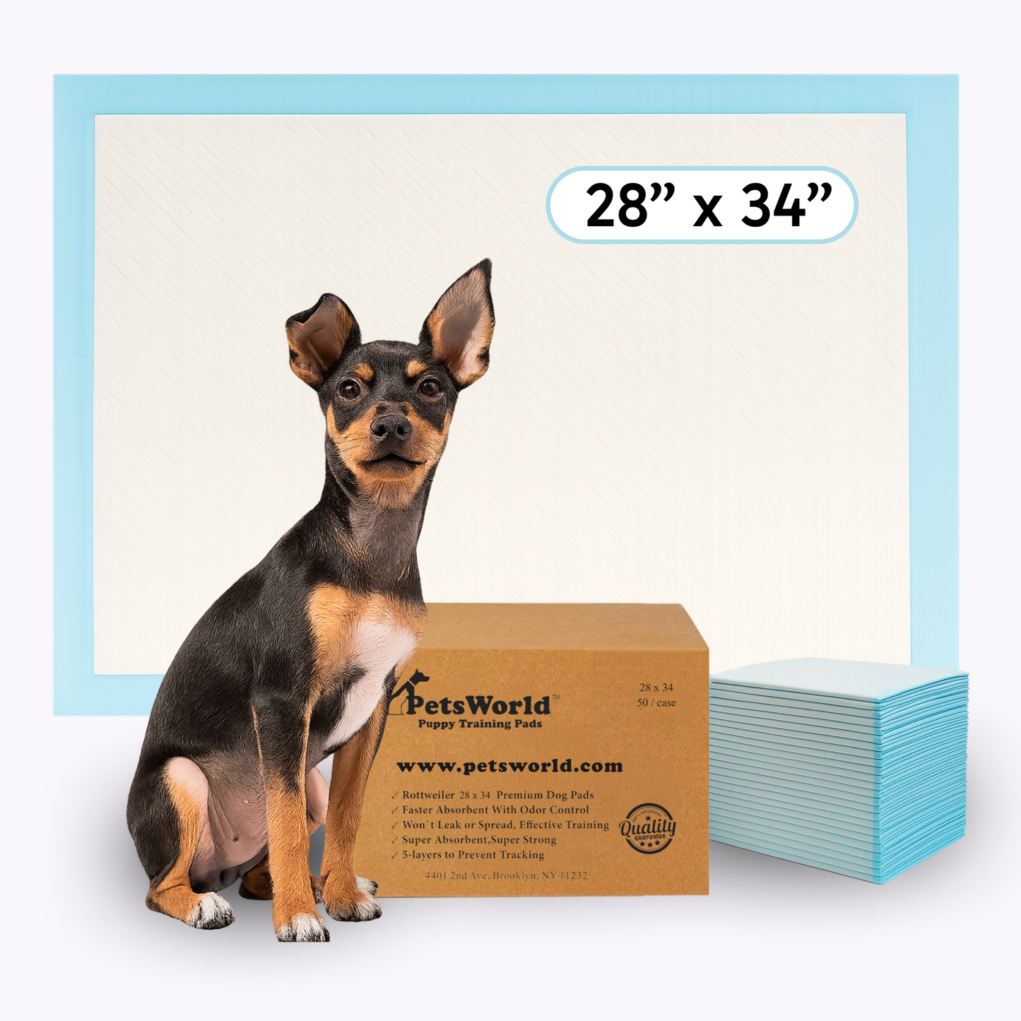 PetsWorld Economy Value (28x34 inch) Puppy Training & Potty Pads