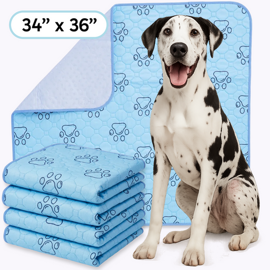 Wholesale Washable Dog Potty Pads, Unscented_24 Count / 34 x 36-in
