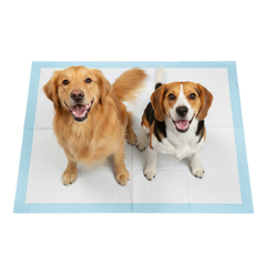 Dog Pee Pads image