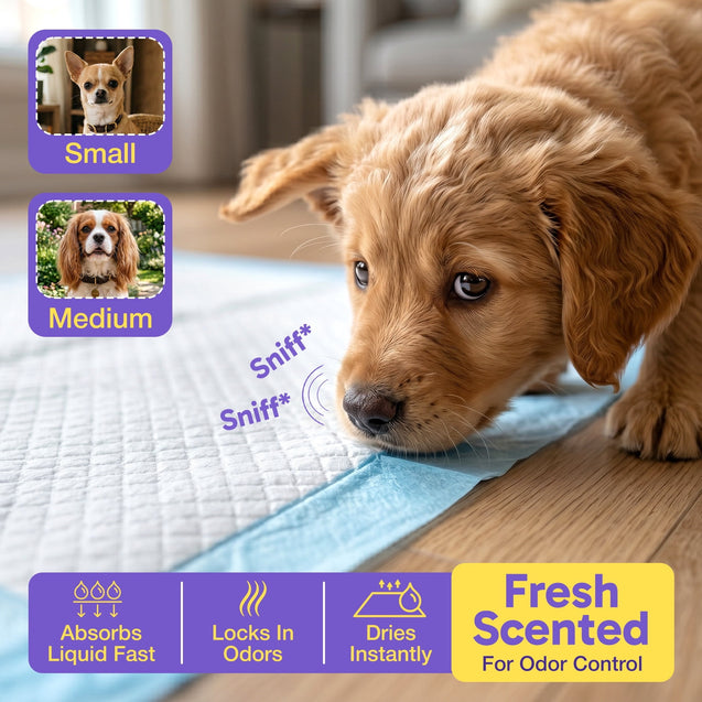 Economy Value (28x34 inch) Puppy Training & Potty Pads