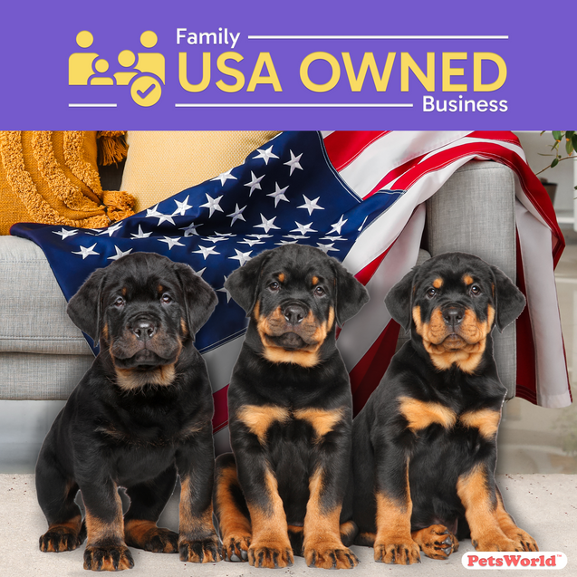 PetsWorld Extra Large (30x36 inch) Dog Training & Potty Pads_