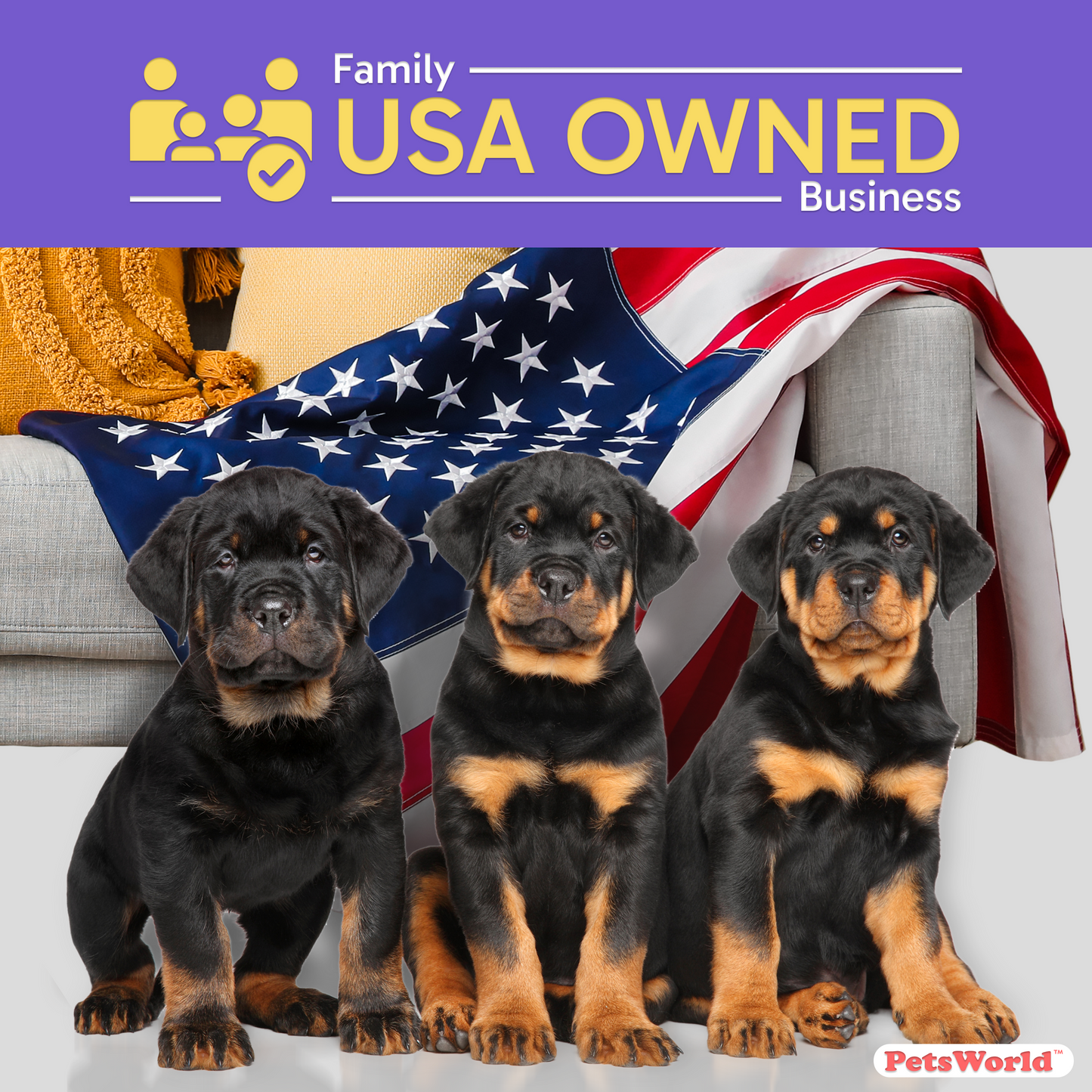 Wholesale Extra Large Dog Training & Potty Pads (30x36 inch)_