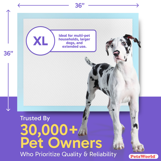PetsWorld Gigantic (36x36 inch) Dog Training & Potty Pads_