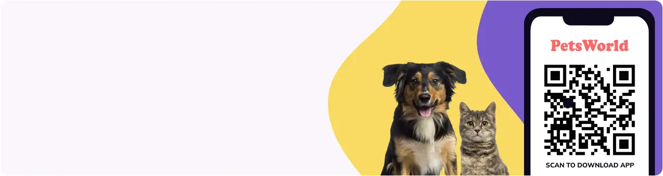 Unlock Tail-Wagging Deals