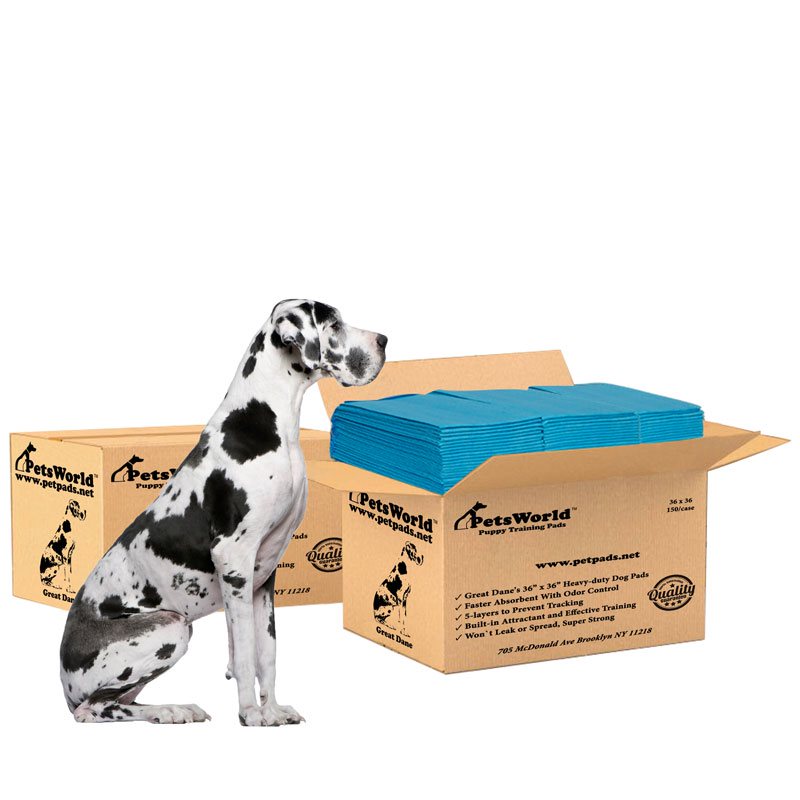 PetsWorld Gigantic (36x36 inch) Dog Training & Potty Pads_300 Count